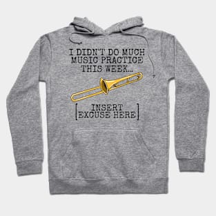 I Didn't Do Much Music Practice, Trombone Student Funny Hoodie